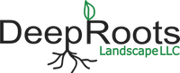 Deep Roots Landscape